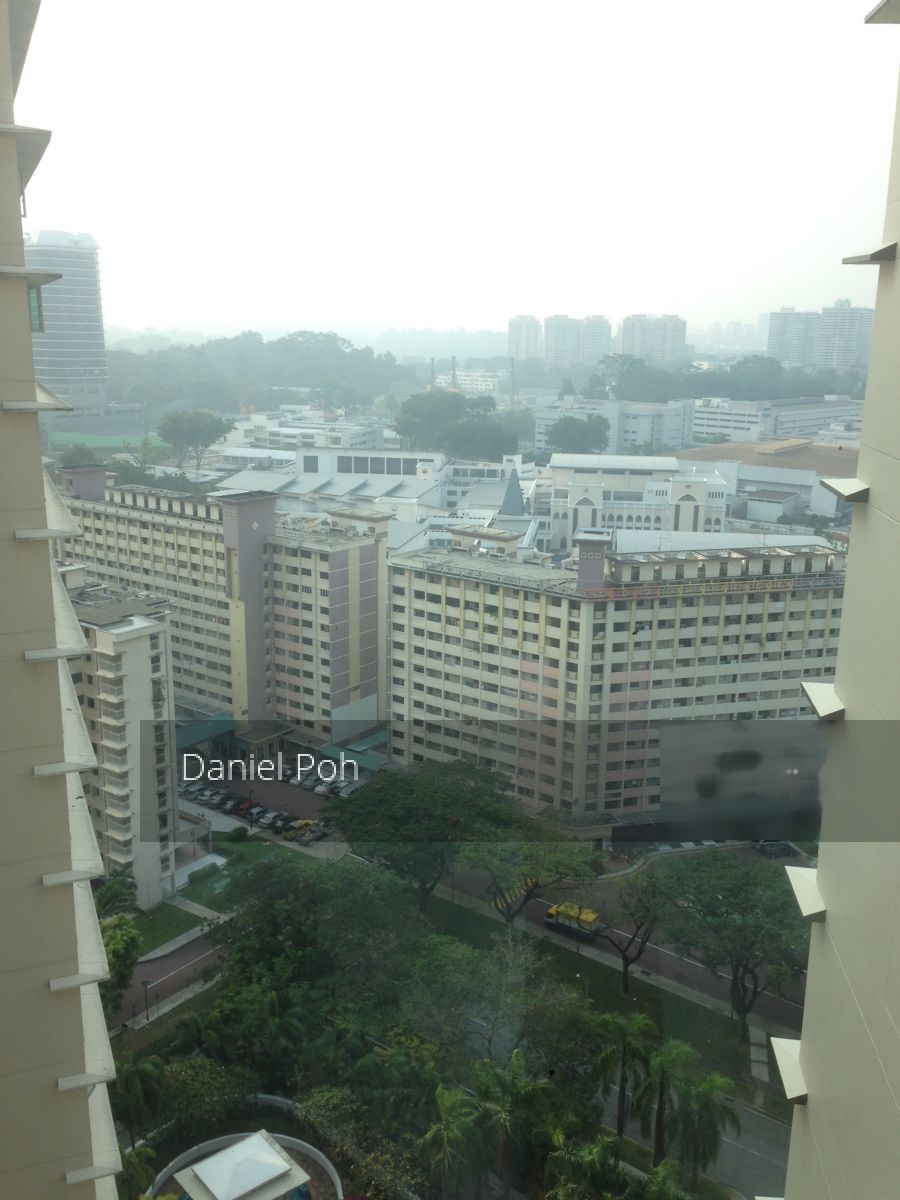 Trellis Towers (D12), Condominium #125604852
